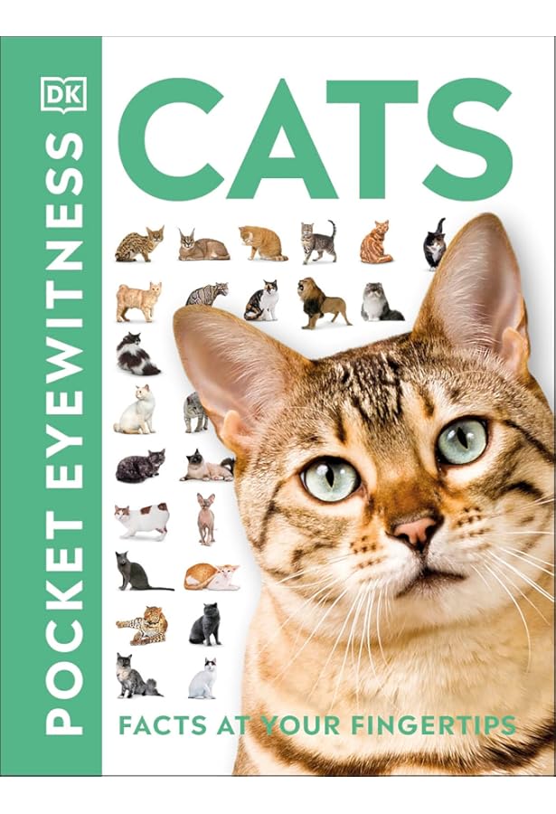 My Book of Cats and Kittens: A Fact-Filled Guide to Your Feline
